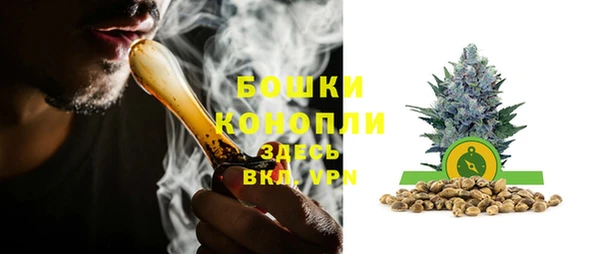 дурь Арсеньев