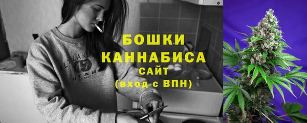 ПСИЛОЦИБИНОВЫЕ ГРИБЫ Аркадак
